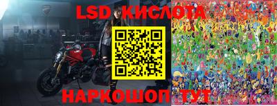 PSILOCYBIN Ирбит