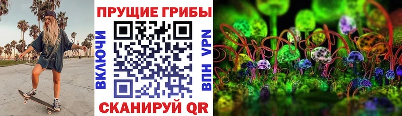 KRAKEN   Усть-Лабинск  Галлюциногенные грибы мицелий  наркота 