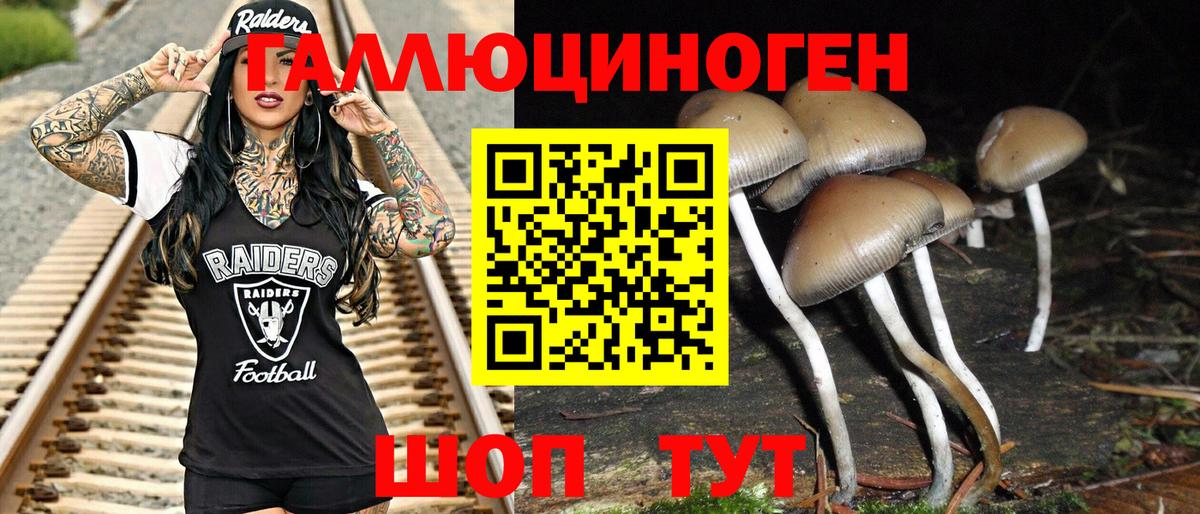 Псилоцибиновые грибы Psilocybe  Галлюциногенные грибы мицелий  цены   Усть-Лабинск  Вход с VPN 